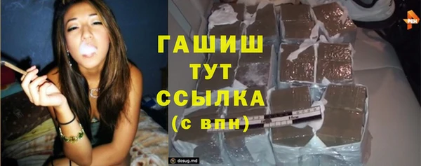 прущий лед Алзамай