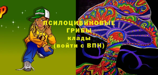 прущий лед Алзамай