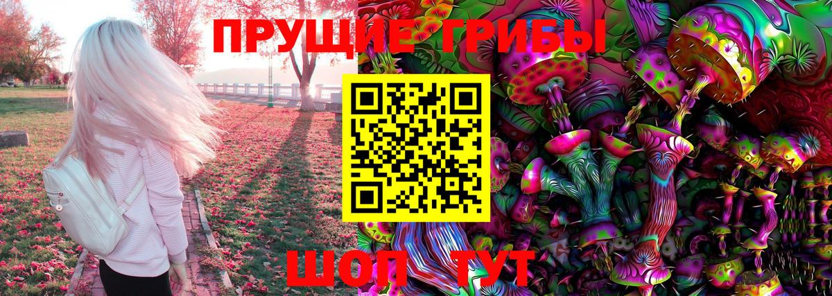 Псилоцибиновые грибы GOLDEN TEACHER Родники